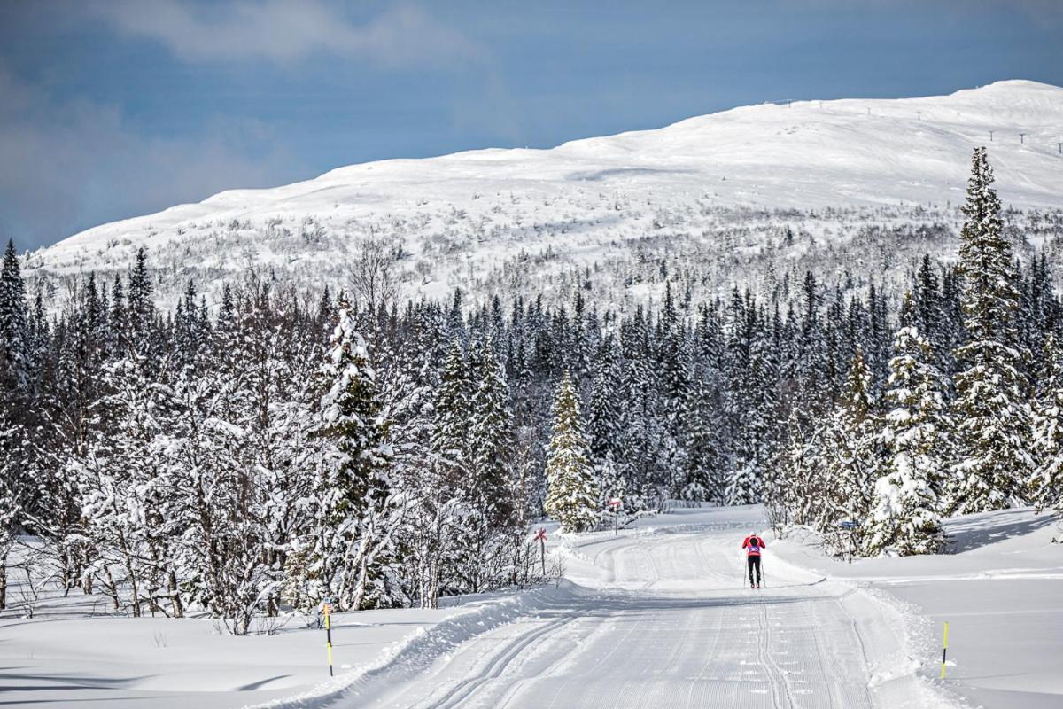 Koeja Fjaellhotell Edsasdalen Kültér fotó