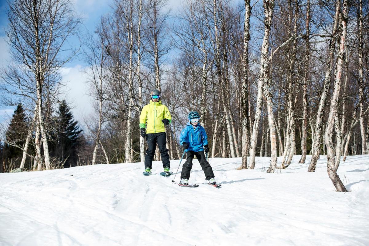 Koeja Fjaellhotell Edsasdalen Kültér fotó