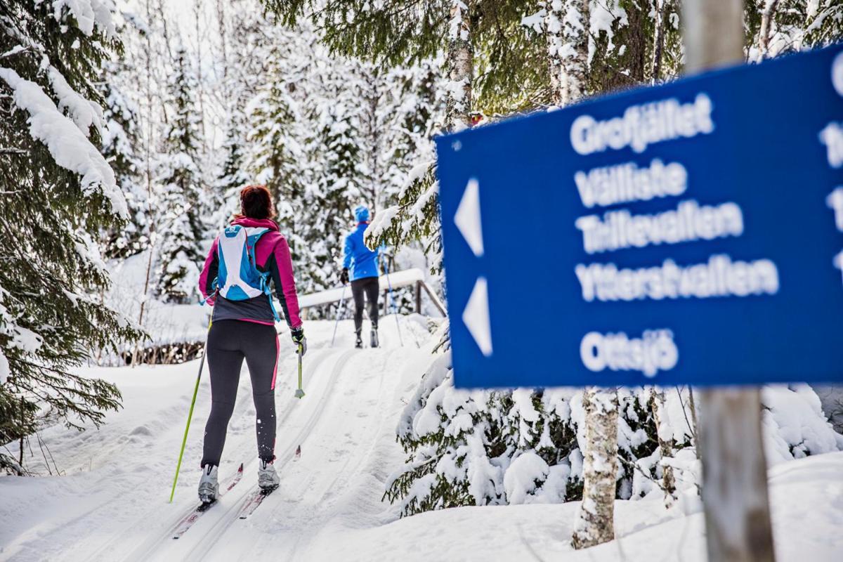 Koeja Fjaellhotell Edsasdalen Kültér fotó