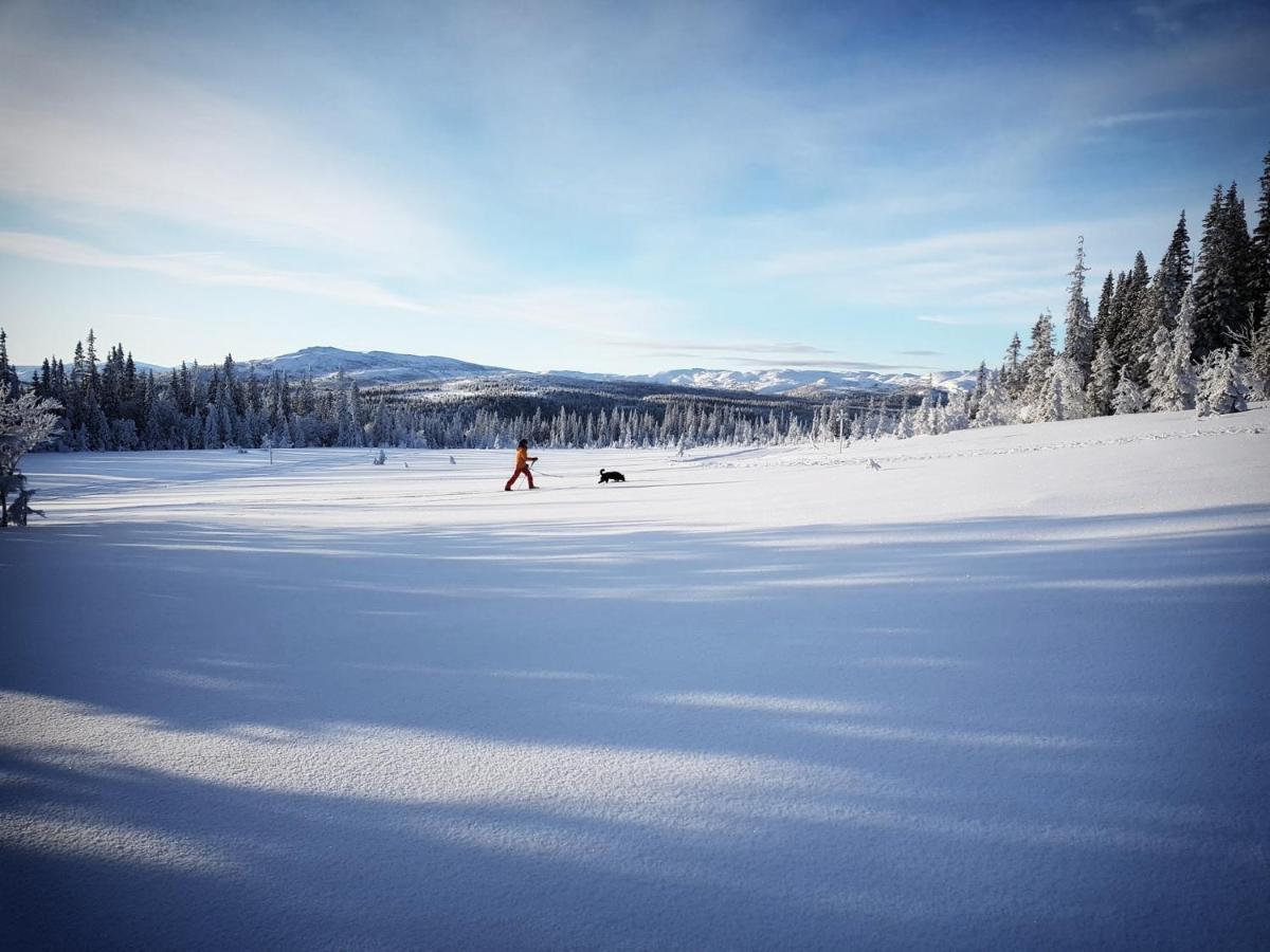 Koeja Fjaellhotell Edsasdalen Kültér fotó