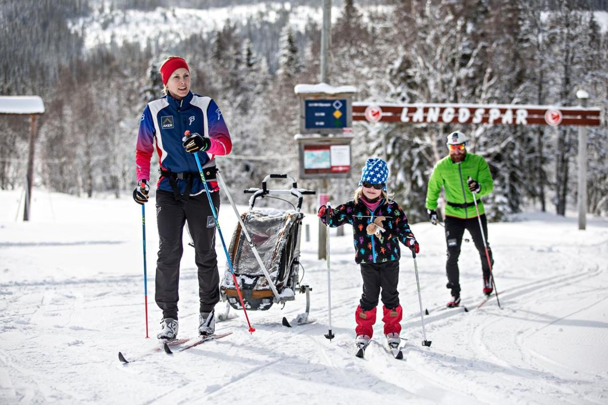 Koeja Fjaellhotell Edsasdalen Kültér fotó