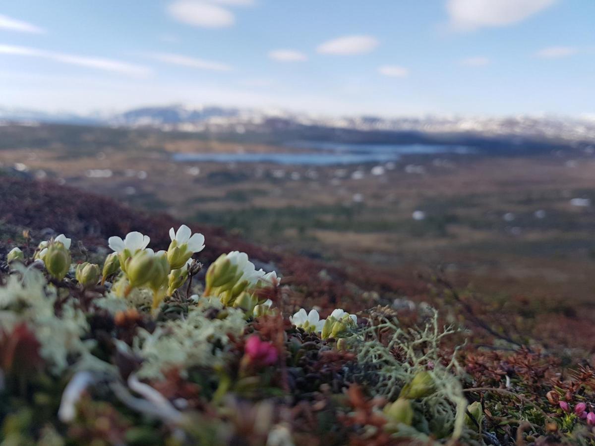 Koeja Fjaellhotell Edsasdalen Kültér fotó